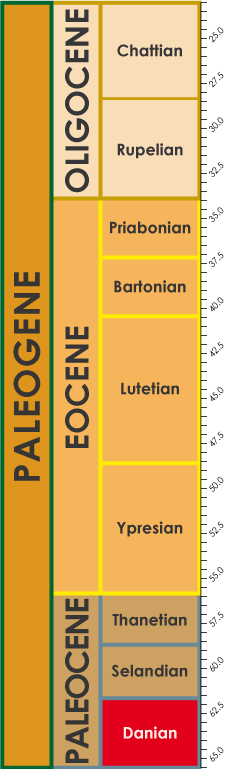 Danian timescale