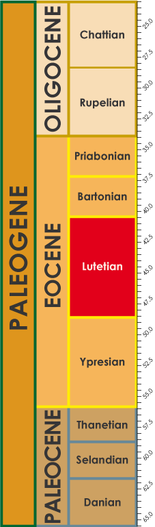 Lutetian timescale