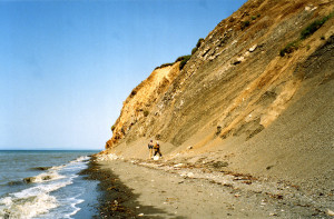 Il'pinskii Peninsula Paleogene, North-East Kamchatka