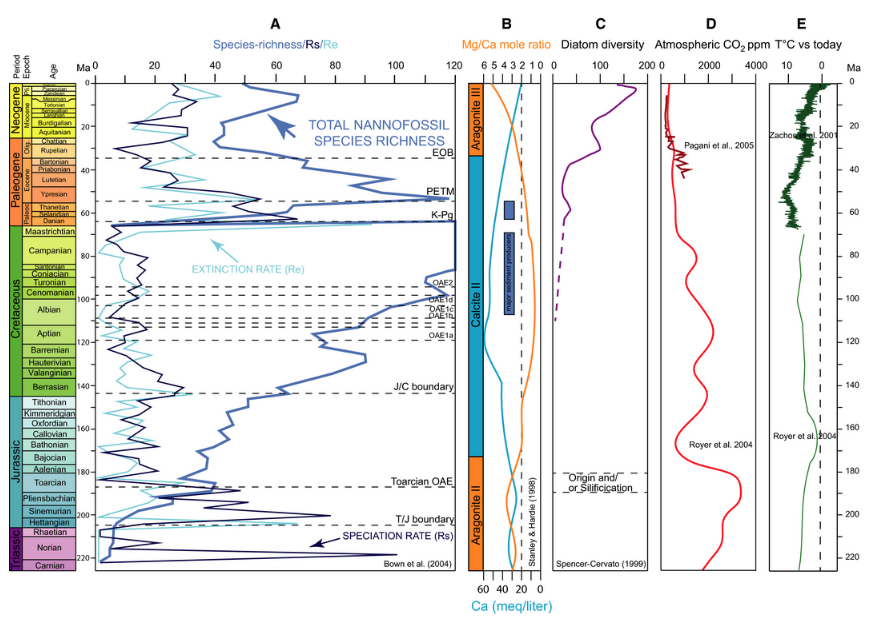 Calcareous nannofossil evolutionary rates and diatom diversity plotted against selected physical environmental parameters. A, species-richness, speciation rate and extinction rate of calcareous nannofossils through the last 220 Myr (Bown et al. 2004); B, aragonite and Calcite seas and major sediment producers (Stanley & Hardie 1998); C, diatom diversity (Spencer-Cervato 1999); D, atmospheric CO2 (Royer et al. 2004; Pagani et al. 2005); E, temperature versus today value (Zachos et al. 2001; Royer et al. 2004).